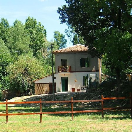 Ca' Perucci Konuk evi Urbino Dış mekan fotoğraf